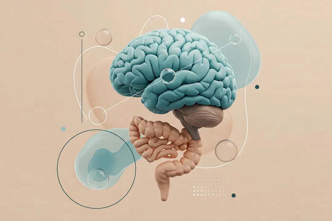 The Link Between Parkinson’s and Gut Microbiome Imbalance: What You Need to Know