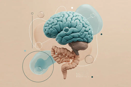 The Link Between Parkinson’s and Gut Microbiome Imbalance: What You Need to Know