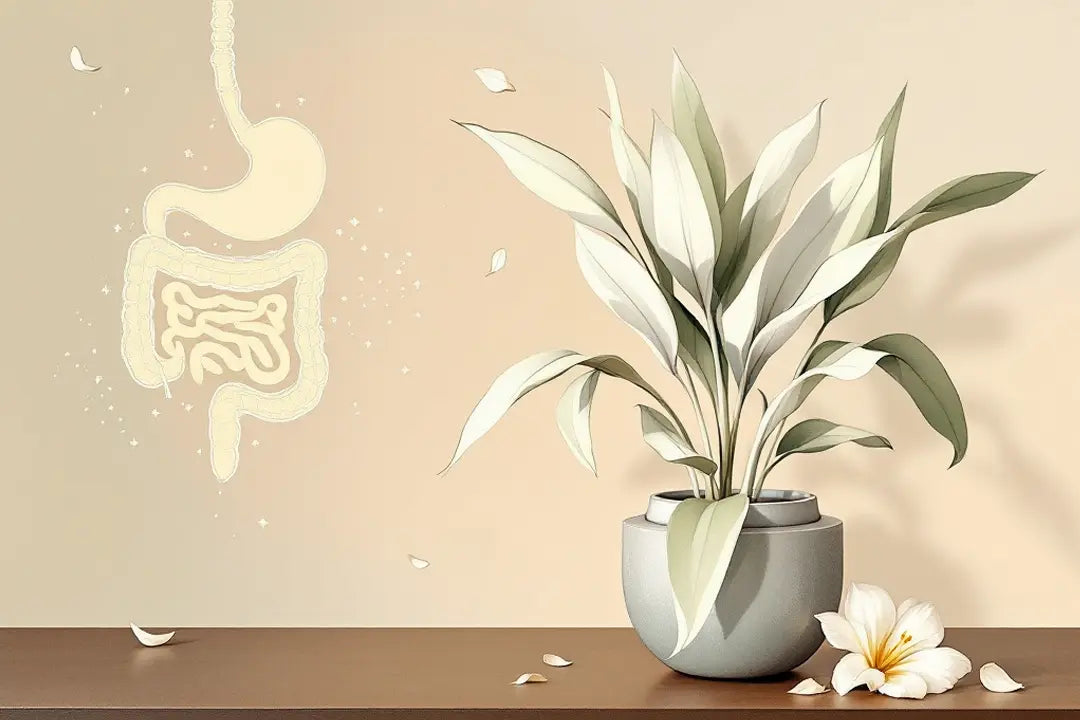 Can Schidigera Yucca extract help purge microplastics from the gut?