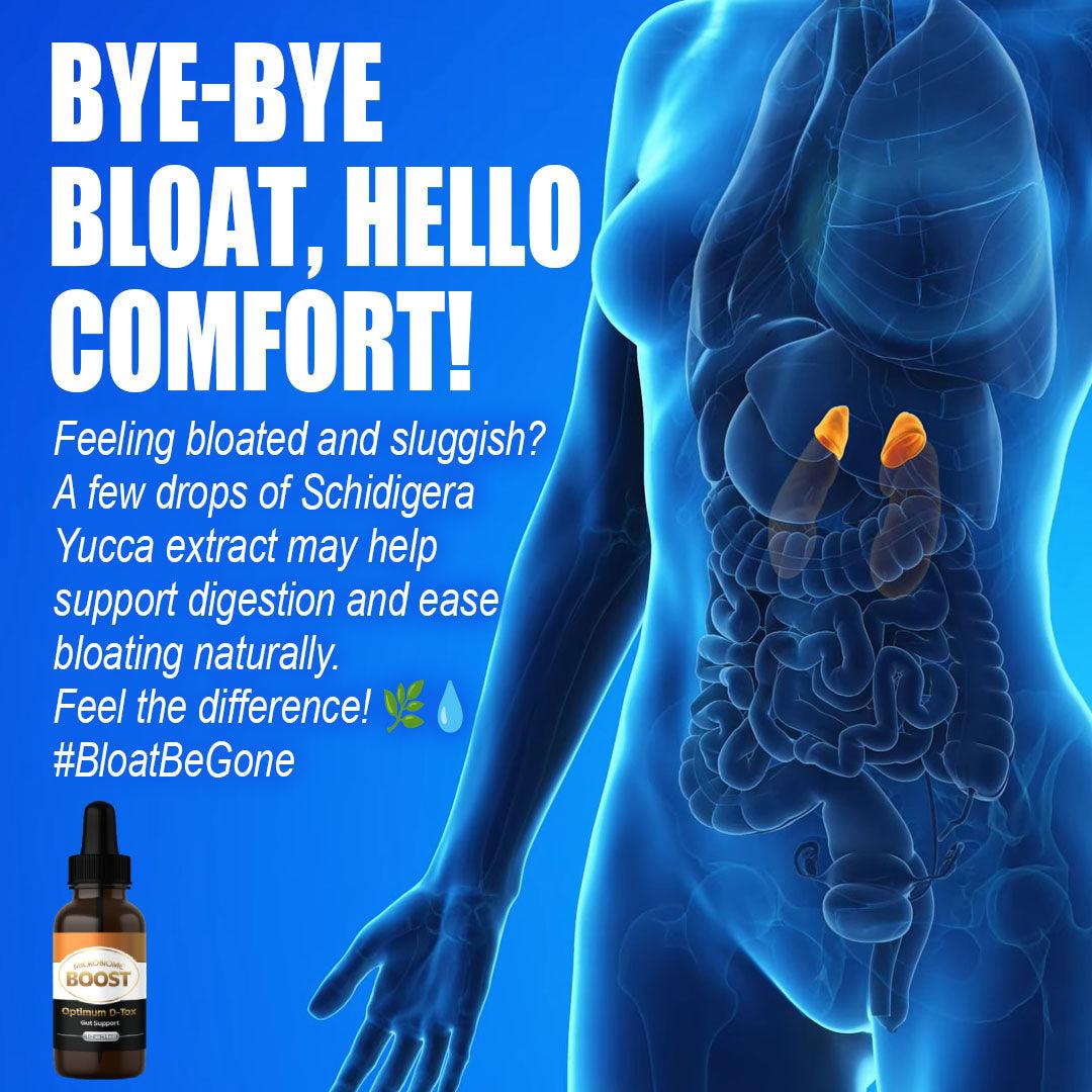 Gut Health Supplement - Zenus - Nature's Pharmacy