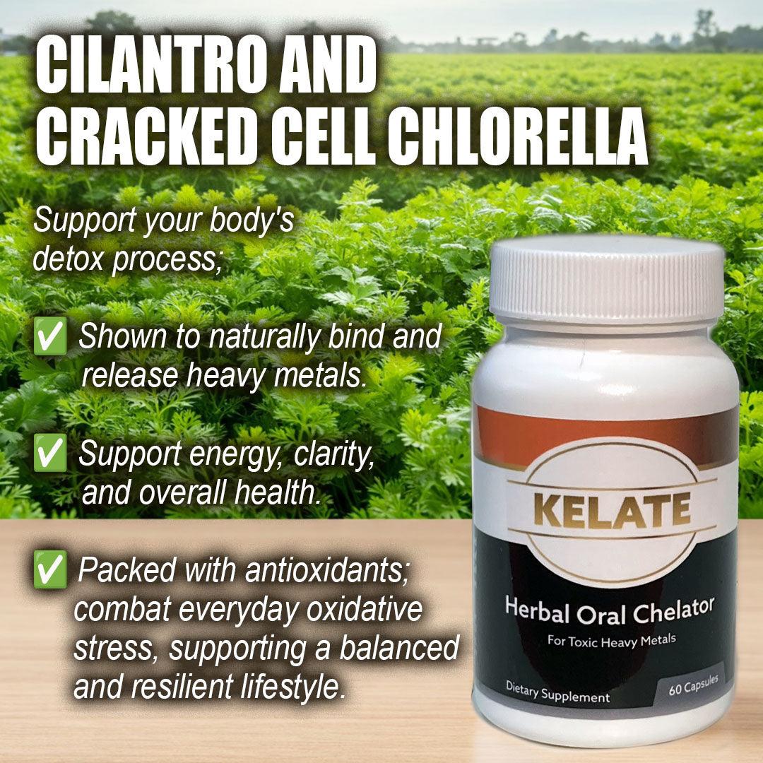 Metal Support Supplement