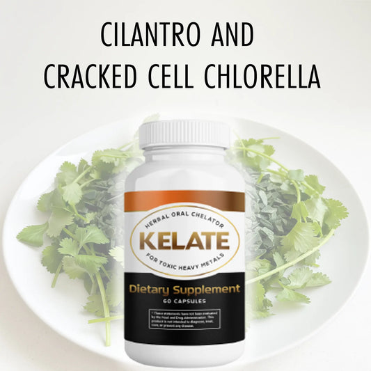 Metal Support Supplement