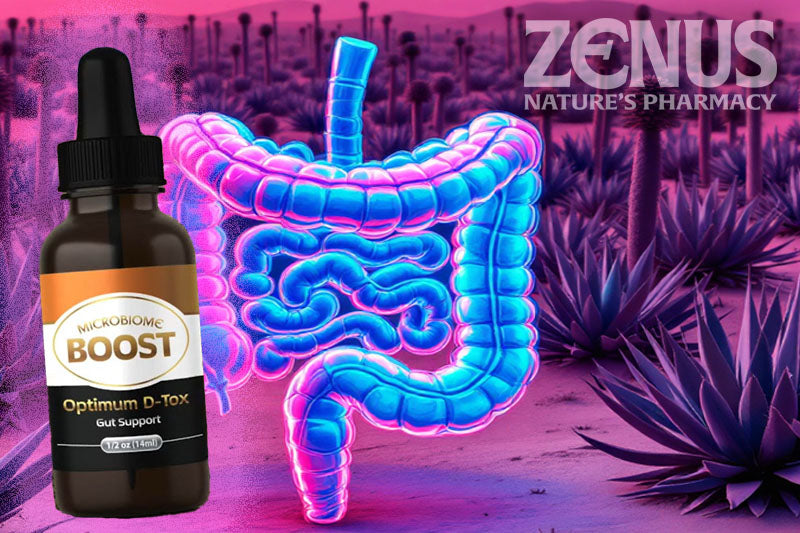 Gut Health Commonly Asked Questions and Answers - Zenus - Nature's Pharmacy