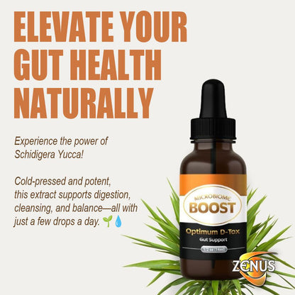 Gut Health Supplement